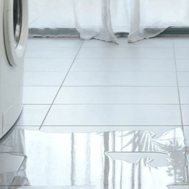 Appliance Leak Cleanup in Thorndale, TX