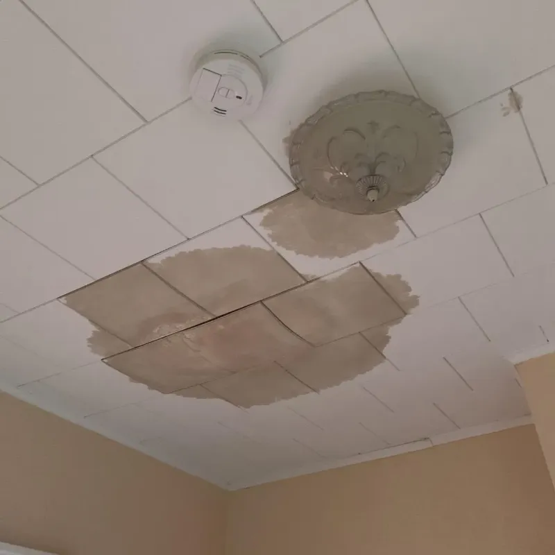 Ceiling Water Damage Repair in Thorndale, TX