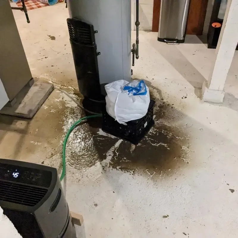 Sewage Backup Cleanup Service in Thorndale, TX
